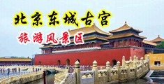 女人操穴视频在线播放中国北京-东城古宫旅游风景区